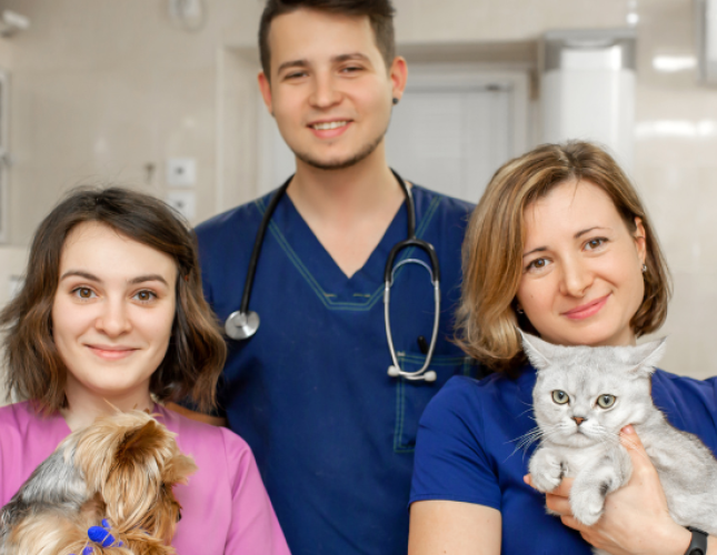 Honoring International Day of Veterinary Medicine